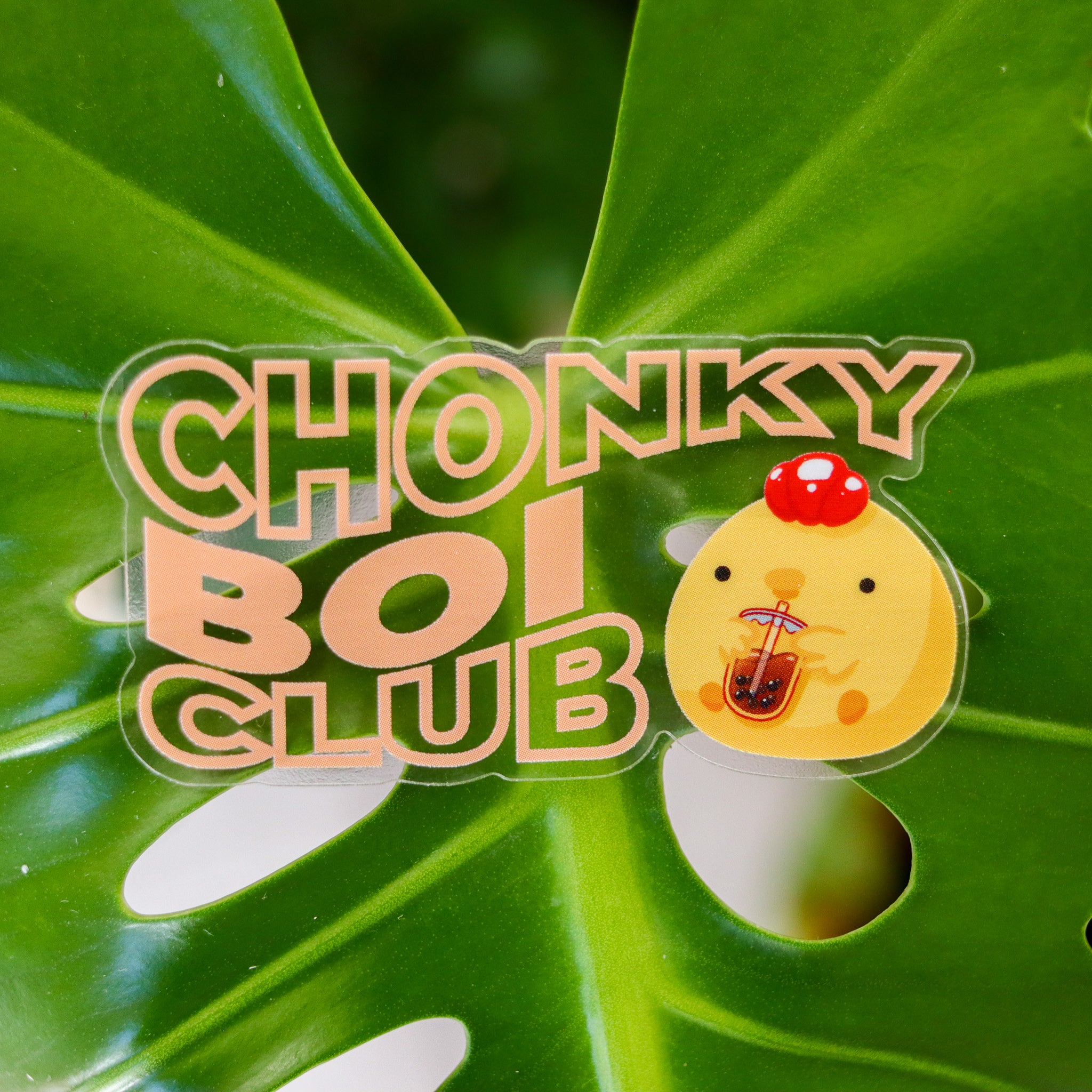 Clear Chonky Boi Club Sticker